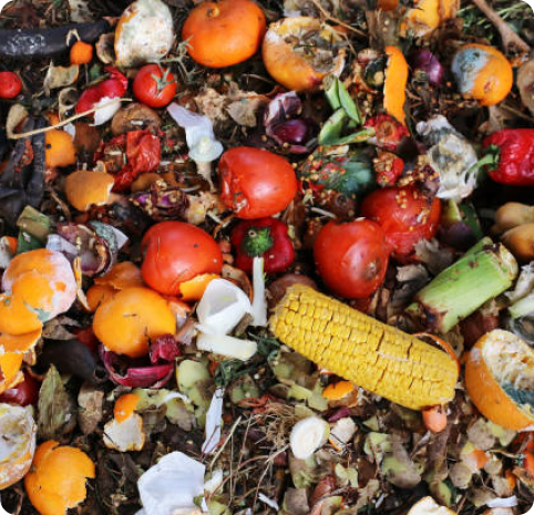 Responsible Consumption